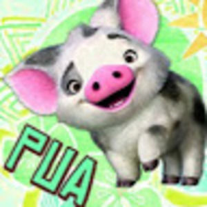 Meet your Posher, Mia